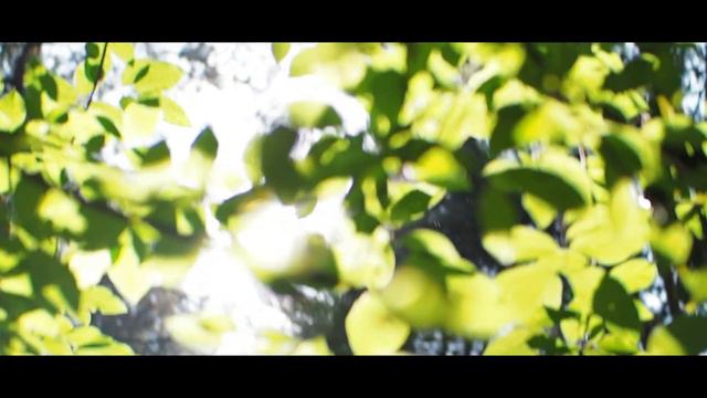 л ю б и т ь [ be in love ] смотреть онлайн