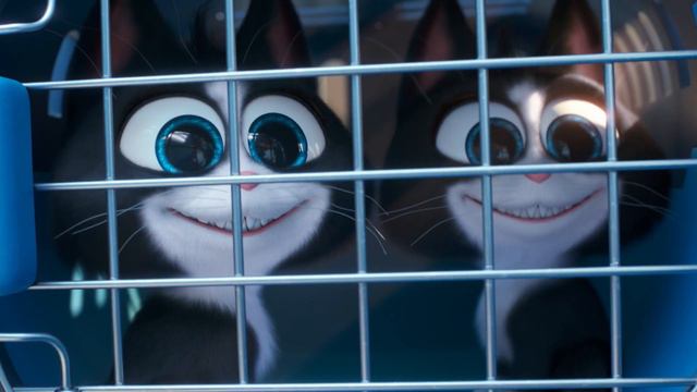 Домашние животные зовут в кино на 2х2 смотреть онлайн