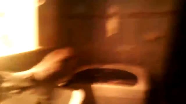 Ведали кот открыл воду и пьёт смотреть онлайн