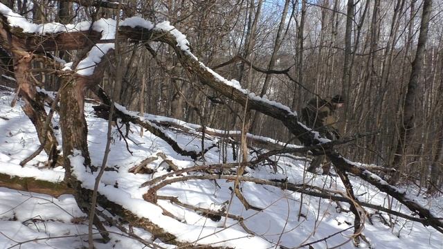 Приглашение смотреть онлайн