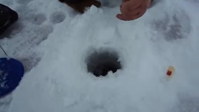 Рыбалка в Александровском, судак1. смотреть онлайн