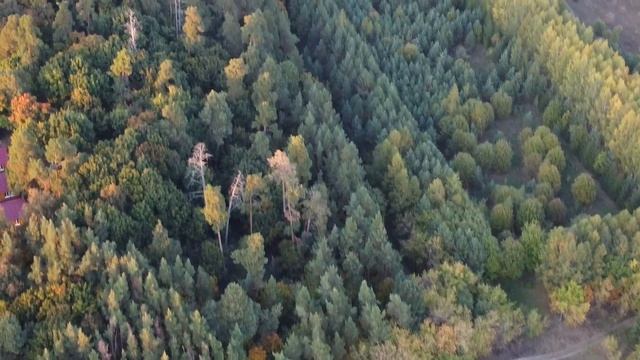 КУРМЫШ, ЛЕС ДА РЕКА смотреть онлайн