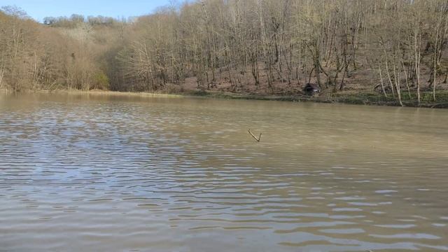 тихое лесное озеро ! весна , оригинальный звук , Quiet Forest Lake Spring , Original Sound ,