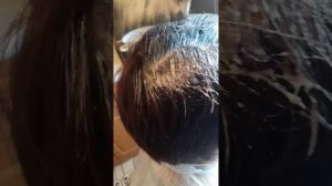 Окрашивание коротких седых волос дома. Стрижка!!!