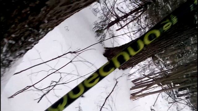 Как быстро выбрать коньковые лыжи (кратко и подробно) смотреть онлайн