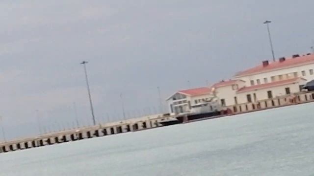 На что клюёт сарган. Наживка на саргана смотреть онлайн