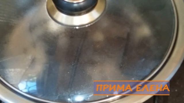 Наука о Здоровье и Жизни