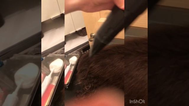 Вариант использования текстурирующего спрея Oh Touch Me Texturising Spray смотреть онлайн