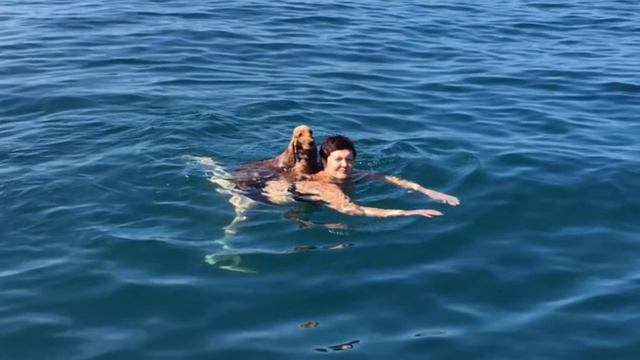 Кокер Люся халтурит смотреть онлайн