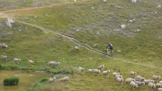Баранотрейл смотреть онлайн