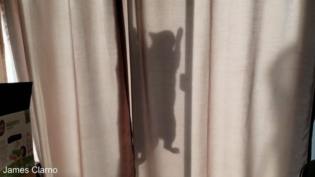 Вырубка Гигантской Секвойи смотреть онлайн