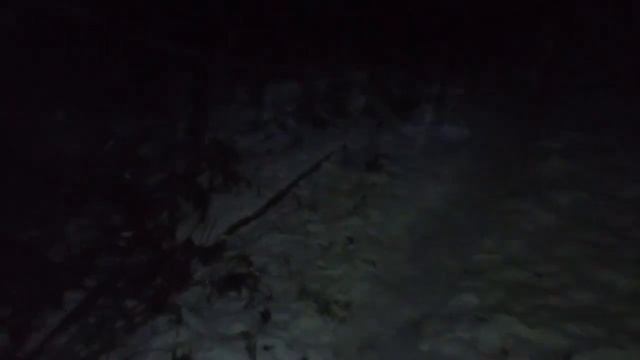В ДОМ ПРИШЛИ МЫШИ смотреть онлайн