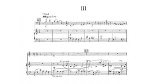 Prokofiev - Cello Concerto in E Minor Op.58 (Ivashkin)