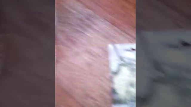 Мои новые всходы семян и мука с дихондрой !!!??? смотреть онлайн