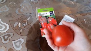 "Огородный колдун" - дёшево,  урожайно и очень вкусно! Собираю семена любимых томатов 2022 года!