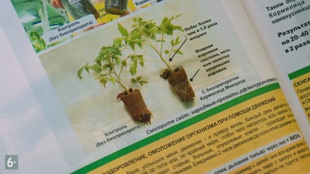 Моя грядка изобилия - газета профессиональных советов смотреть онлайн