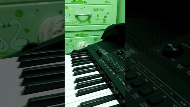 Demo Yamaha Psr E453 смотреть онлайн