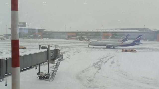 Шереметьево терминал В