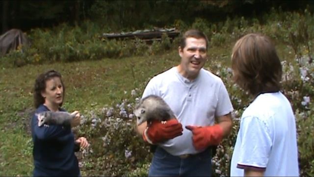 America's Marsupial; The Opossum смотреть онлайн