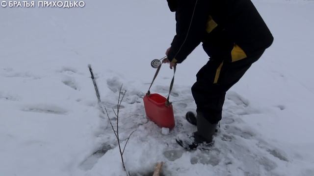 ТРИ ДНЯ НА ТАЕЖНОЙ РЕКЕ / ЛОВИМ НАЛИМА НА ПРОДОЛЬНИКИ смотреть онлайн