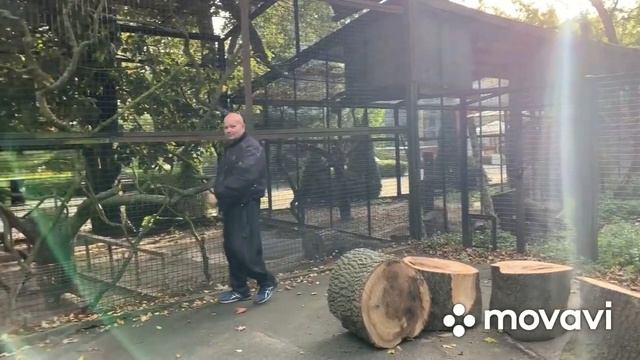 Не заблудись с Петровичем Калининградский «Зоопарк» часть 2 смотреть онлайн