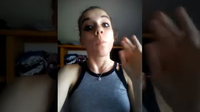 Flight Rising Fanatic смотреть онлайн
