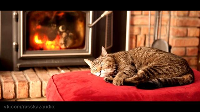 Мурчание кошки Звуки для сна acmp asmr sounds for sleep purring cats смотреть онлайн