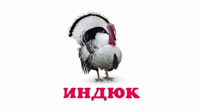 Домашние животные Развивающие видео для малышей, развитие речи, учимся говорить, звуки животных смотреть онлайн