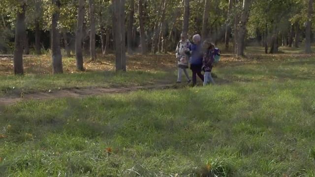 Благоустройство города продолжается. Сегодня депутат смотреть онлайн