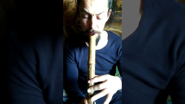 СЯКУХАТИ КОРНЕВАЯ 51 смотреть онлайн
