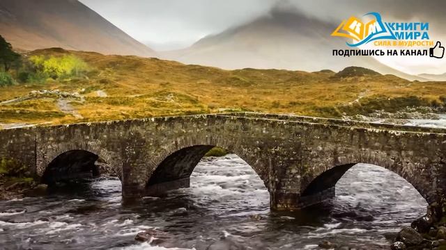 Всё О Просветлении С Психологической Точки Зрения! Полный Научный Обзор! l Никошо и Игумен Евмений смотреть онлайн