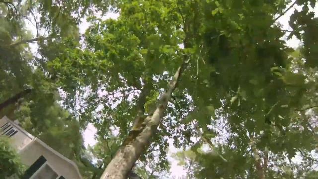 Camping La Pinède 4★ Les Mathes-La Palmyre | Charente Maritime | Poitou-Charentes смотреть онлайн