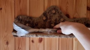 Сетка на лотке — зачем? Кошачий лоток без сетки лучше всего!