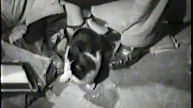 L'amorosa Menzogna Michelangelo Antonioni, 1949