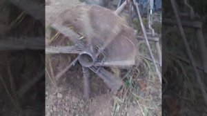 Картофелекопалка швырялка, самодельная.