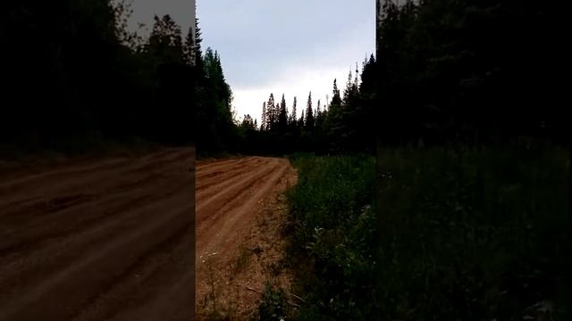 Урал липа зацветает смотреть онлайн