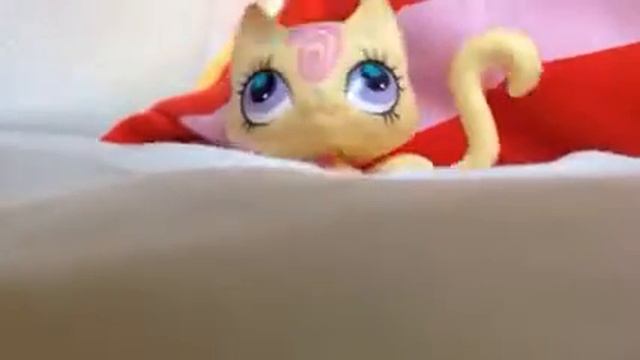 Посмотри! Видео на 30 секунд смотреть онлайн