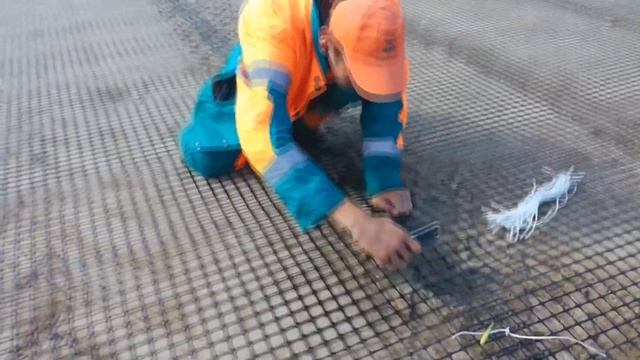 Зелёный богомол. смотреть онлайн