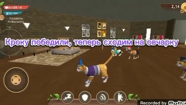 БАГИ НА БОССОВ ? / Кэт сим / часть 1 смотреть онлайн
