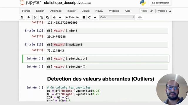Statistiques descriptives avec Python et la détection des valeurs aberrantes смотреть онлайн