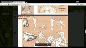 Биология 11 класс 16-17 неделя Антропогенез