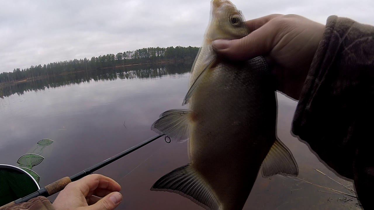 Untitled mp4 смотреть онлайн
