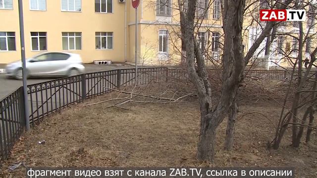 Как чиновники Читы вырубают деревья "во благо" смотреть онлайн