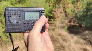 Retekess  V 115. Особенности прошивки и приём на  СВ.(1) 1.