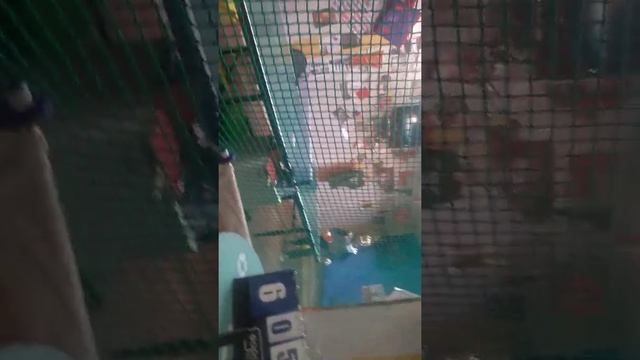 Тренировка по настольному теннису. Иваново ТК форвард играет Арсений смотреть онлайн