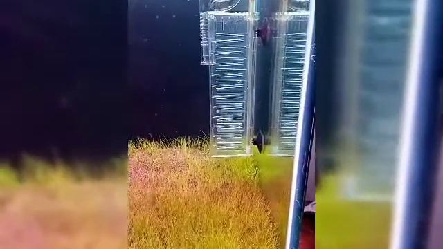 #Мой двухсот литровый смотреть онлайн