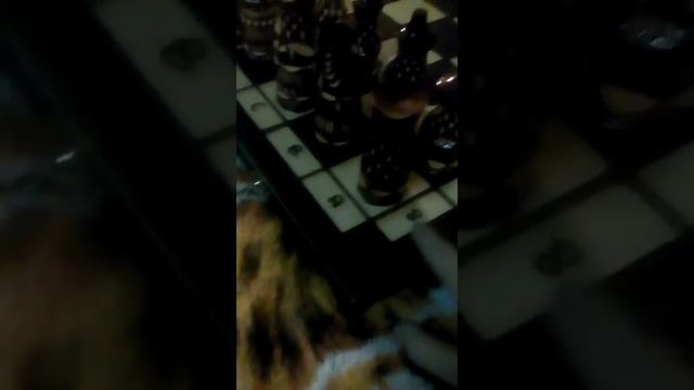 Как стоят шахматы. смотреть онлайн