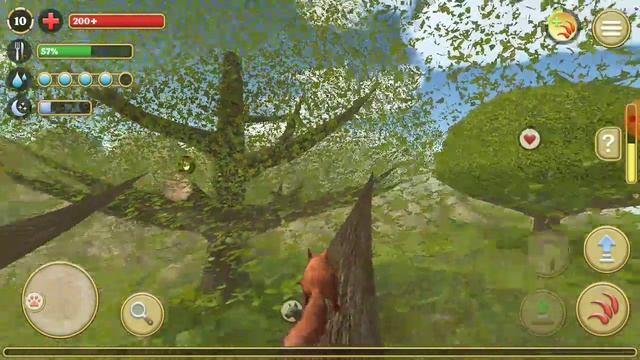 КАК ПОБЕДИТЬ МЫШИНОГО КОРОЛЯ? СИМУЛЯТОР БЕЛКИ 2. СЕРИЯ 3 # Весёлая игромания. смотреть онлайн