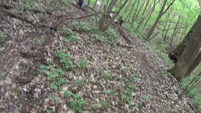 Прохват по болотам и оврагам.Утопили мотик в грязи.KAYO125,KAYO к1,KAYO150,KAYO190,BSE250