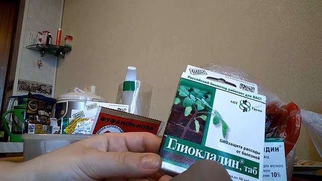 ФИТОФТОРА НА ПОМИДОРАХ, болезни огурцов, опрыскивание деревьев весной. Готовимся! смотреть онлайн